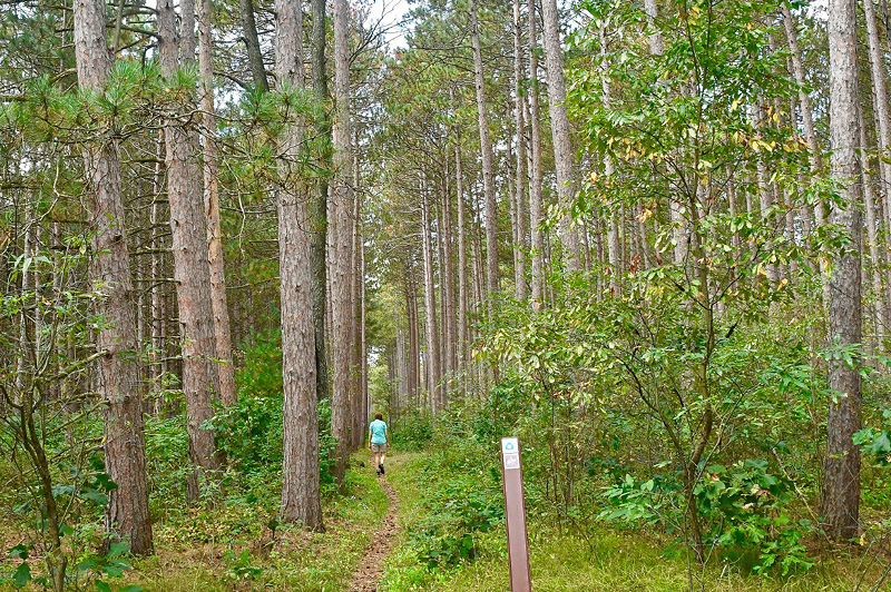 North Country Trail (Newaygo County)